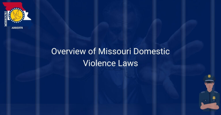 Overview of Missouri Domestic Violence Laws