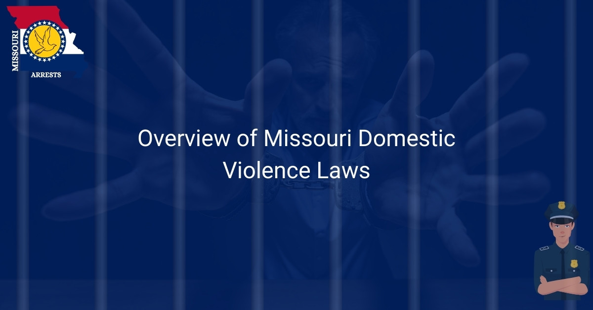Overview of Missouri Domestic Violence Laws